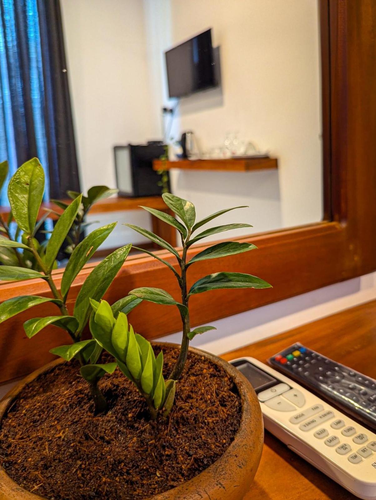 Airport Hotel By Cmb Apartments Negombo Eksteriør bilde